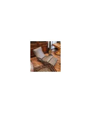 Osvaldo Borsani Armchair