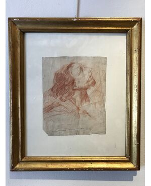 Studio di testa maschile, disegno a sanguigna su pergamena, fine XVII secolo