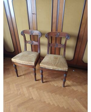 coppia sedie in noce 800
