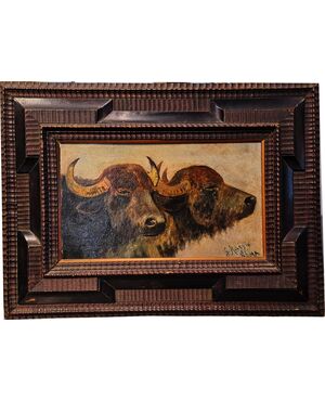 "BUFFALO HEADS" - OIL ON THICK CARDBOARD - GIUSEPPE RAGGIO (1823 - 1916)
