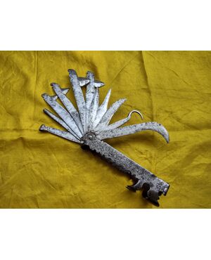 Splendid multi-blade tool for veterinary surgery