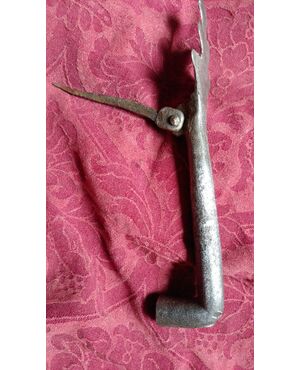 Battente in ferro spagnolo zoomorfo