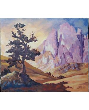 Grande e piccola fermeda , gruppo delle Odle  dolomiti