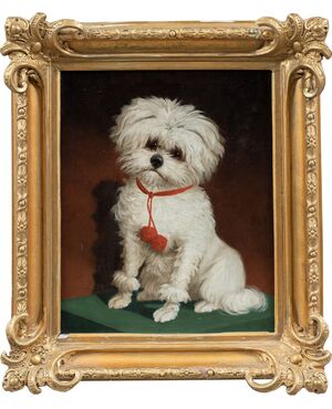 Italian painter (19th century) - Portrait of a Maltese dog.