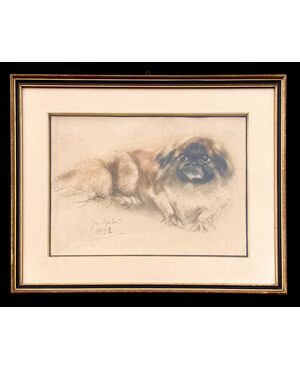 Charcoal and pastel drawing of a Pekingese dog.