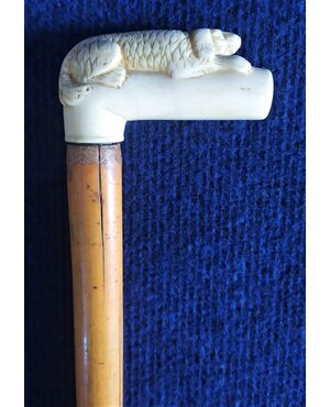 Wooden walking stick and bone &quot;dog&quot; handle - 1910s     