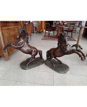 Pair of horses     