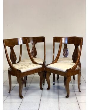 Gruppo di quattro sedie in olivo   impero a pozzetto . XIX secolo 