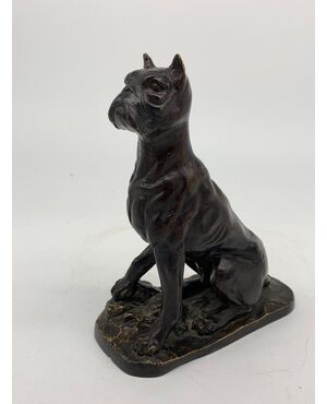 Interesting Patinated Bronze Mastiff Sculpture - France, Early 20th Century     