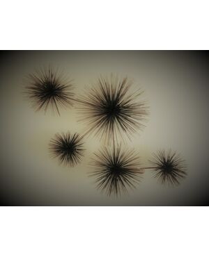 urchins sculpture
