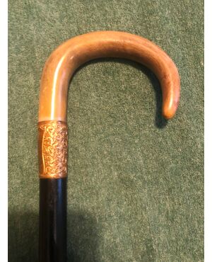 Stick with horn handle and ebony barrel.     