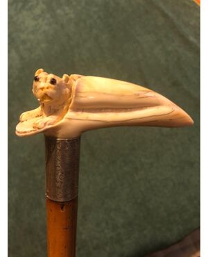 Stick with ivory knob depicting a dog coming out of a trunk.     