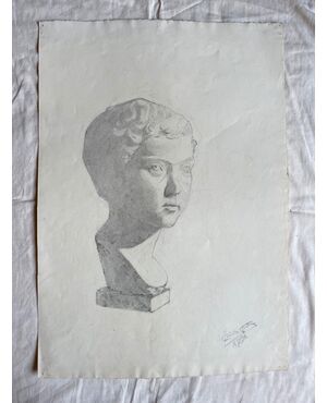 Charcoal drawing on paper depicting a marble bust of a boy.Signed: Federico Pietra 1914.Bologna.