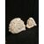 Coppia di Leoncini Veneziani - 28 x 16 cm - Marmo di Carrara Calacatta - xx secolo