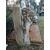 Maestoso altorilievo in pietra galina di Vicenza - Fregio asburgico - Austria - 19° secolo - 230 x 110 cm