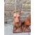 Bellissima coppia di Cani in terracotta - H 70 cm