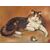 Dipinto Olio su tela con gatto e gomitolo di inizio 1900 firmato 