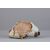 Veneto, XVII Secolo, Zuppiera a forma di gallina con pulcino in maiolica policroma