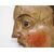 XVI secolo Profilo di Atena  Legno policromo e dorato, 