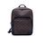 LOUIS VUITTON Zaino in Tela Col. Marrone Dean M