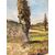 Rural landscape, oil painting on wood     