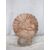 Raffinata acquasantiera veneziana - Diametro 24 cm - Marmo Breccia Pernice - xx secolo - Venezia
