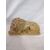 Scultura, Leone a tutto tondo - 31 x 12 cm - Marmo Giallo reale - Fine 19° secolo - Venezia