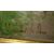 Quadro olio su tela francese del 1800 firmato raffigurante paesaggio campestre con casa