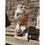 Magnifica coppia di leoni in marmo greco Thassos - H 50 cm - Venezia