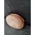 Deliziosa acquasantiera ovale in marmo breccia - 35 x 25 cm