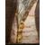 Ritratto di Gentiluomo con pellicciotto , olio su tela , scuola veneta XVIII secolo