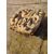 Magnifico mascherone / bocca da fontana in pietra - 68 x 48 cm