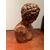 Grande busto di "APOLLO" in terracotta