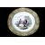 Servizio formato da 12 piatti da dolce in porcellana decorata inglese del 1800