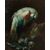 Scuola Romana, XVIII secolo,  Natura morta con pappagallo e fichi