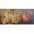 NATURA MORTA CON FRUTTA - FRANCIA - FINE XIX SEC