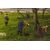 Italian landscape painting with flock     