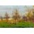 Paesaggio di campagna  - O/6456