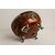 Antica  ciotola scozzese in legno e silver plate O/7478