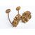 Pair of brass &quot;embrasses&quot; for curtains - O / 1664 -     