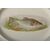 Antichi piatti inglesi con pesce - O/4047 e 4048 -
