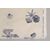 Tessuto stampato a "conchiglie" - T/207 -