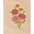 Pannello in tessuto  francese - SN -
