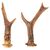 Set di piccole corna di cervo, adatte come maniglie - O/8031 -