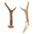 Set di piccole corna di cervo, adatte come maniglie - O/8031 -