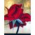 Massimo Catalani - "La Rosa di Samarra"