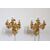 Coppia di appliques cinque luci in bronzo dorato PREZZO TRATTABILE