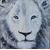 Contemporary painting Lion