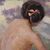 DIPINTI NUDITA' FEMMINILE, ART DECO, QUADRI DI NUDI DI DONNA CON FIOCCO ROSA, DEL 1900. (QN554)