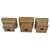 Tre antichi capitelli sciolti in legno - M/321 -